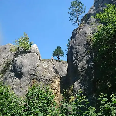 Alpehytte Patchou's Cabane Couvin